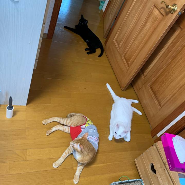 717ed4c3 4486 4d90 b5a8 f21676998941 1628119344873