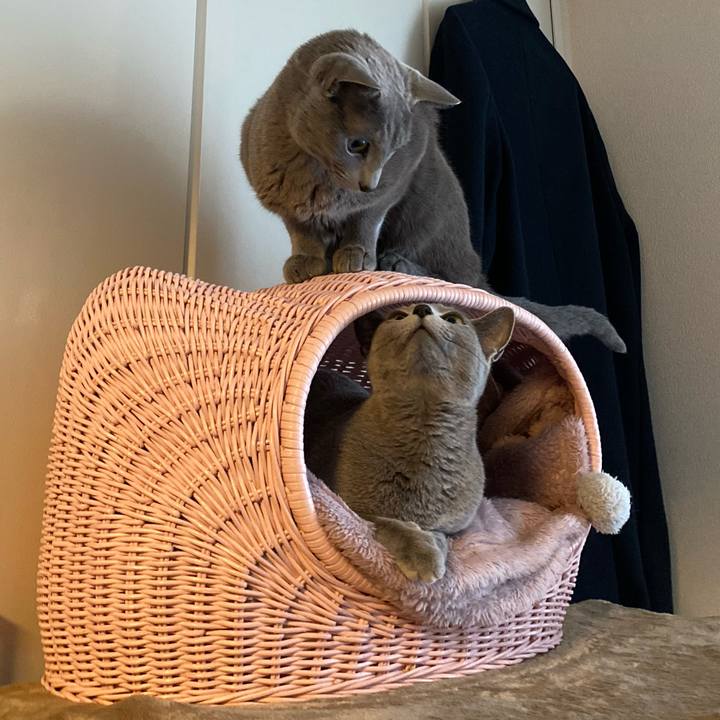 717ef9b9 5892 4954 86df d3bf8cd835e5 1671577179902