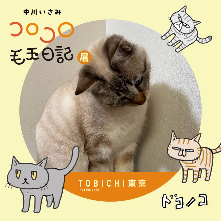 717efe8c 1bbf 4d33 997a deb176587bb0 1740142922222