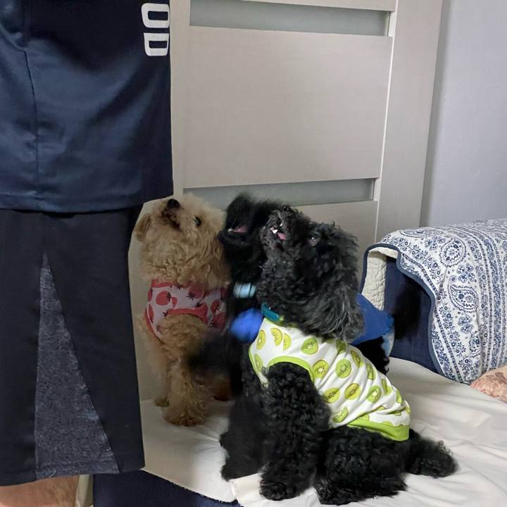 717faa29 1d71 47c2 aad7 bccde0a6dd30 1687178138335