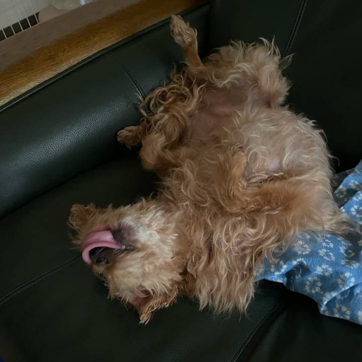 717fd990 c540 4489 8632 d9e0fc66c714 1687465229097