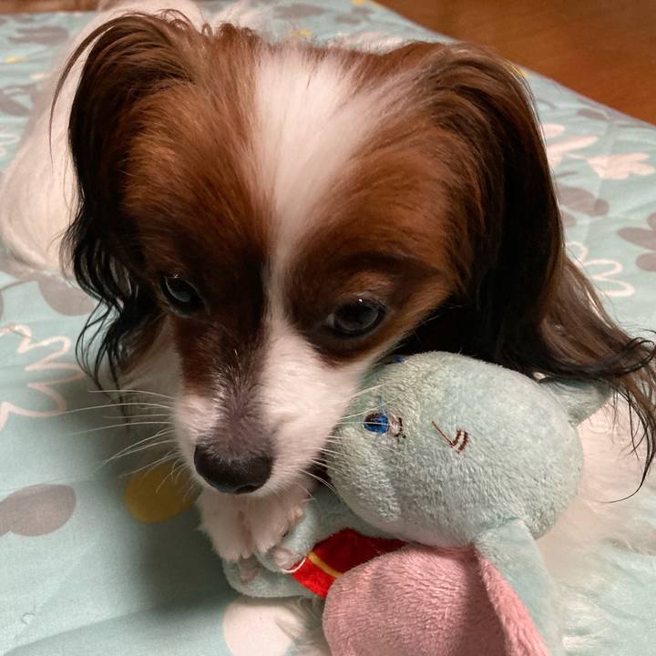 717fe27f c49e 466c 81bf 388d3a8ad330 1631803723915