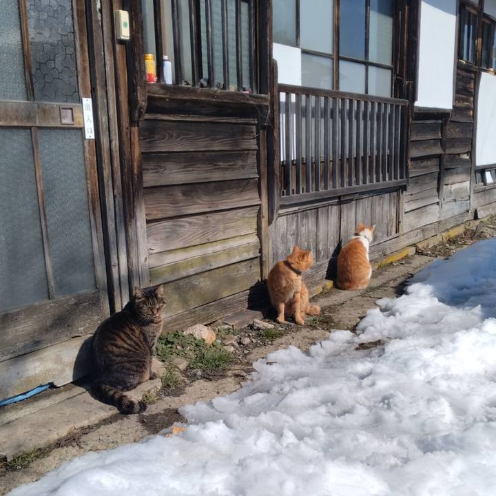 717ffde6 8cda 4480 8cc9 eaabe90cacd4 1771641131140