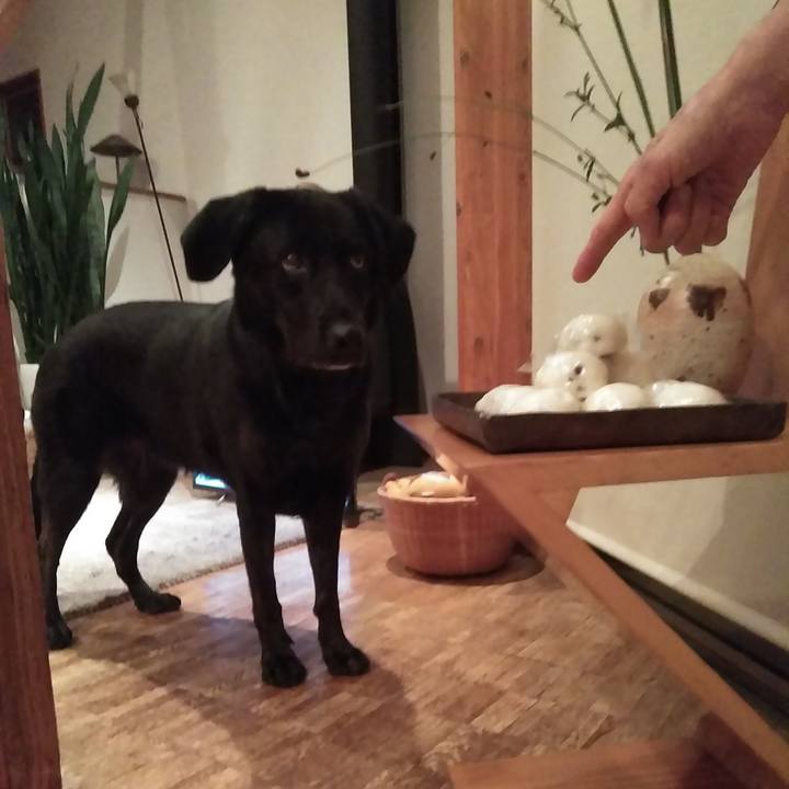 71801207 0539 4b0f 8db3 5fb6ae290d59 1568375158916