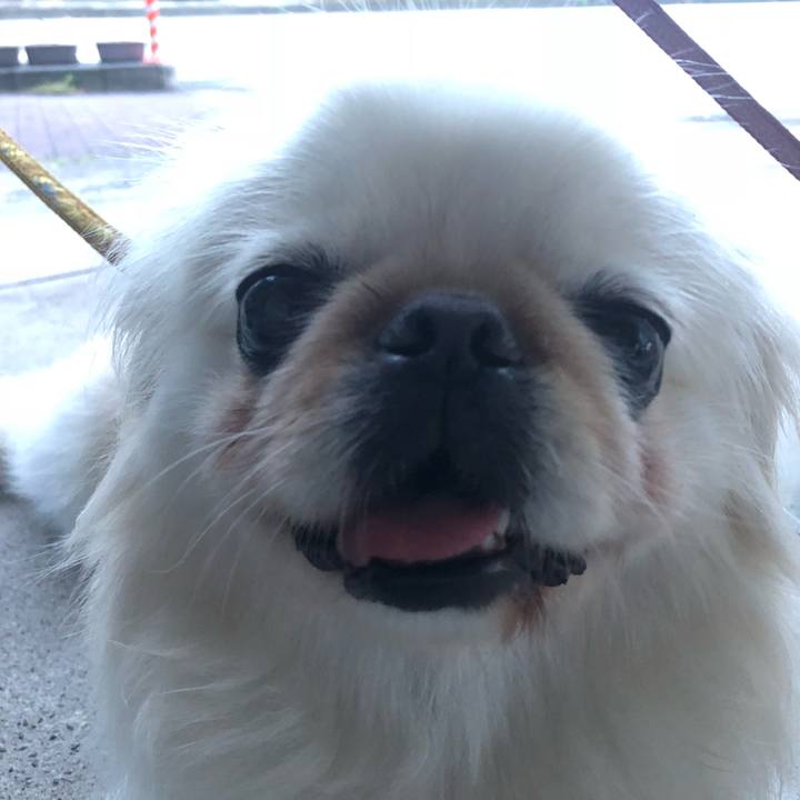 718021c5 d04d 448d 8785 38817a811dd5 1535944554470