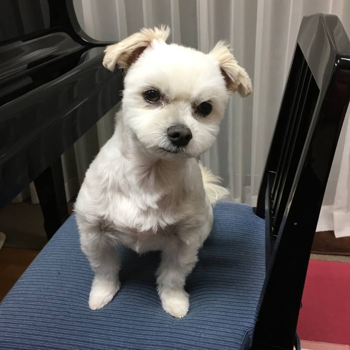 718026f2 f523 465a ab0e 33d33ae24bf0 1542281951687