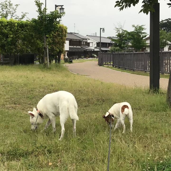 71803fe1 96bf 4c6b beca 976f057da392 1530012988297