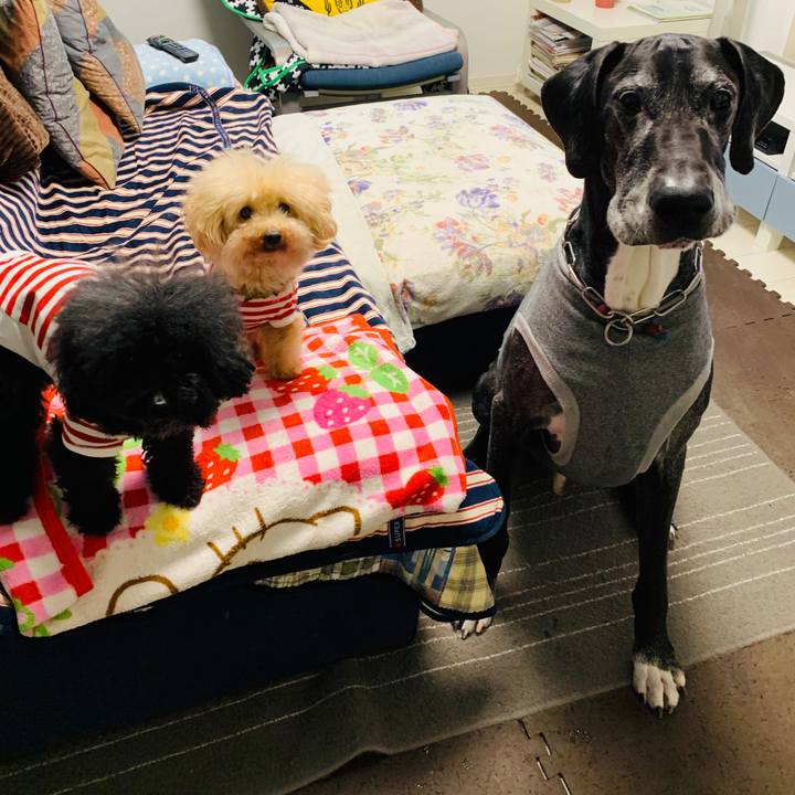 71807c59 155c 4421 b42c 598d00904102 1587336080716