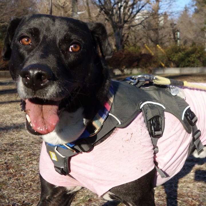 71808319 adee 4321 b835 14c450f2eaf6 1645752324806