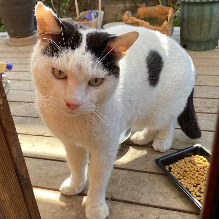 71809244 bf97 44fe a86f 20832ca4a561 1707276916688