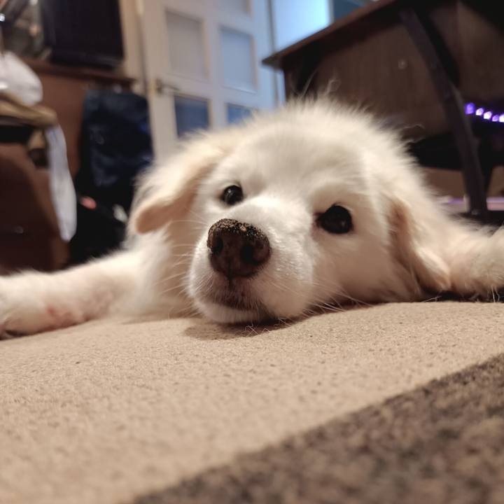 7180b364 b96a 420d b708 8eef20191414 1758141757849