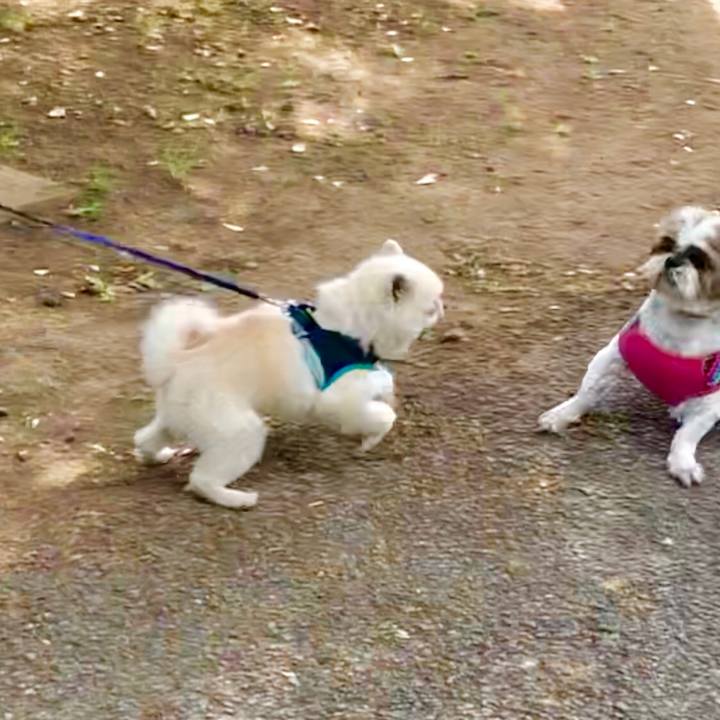 7180e2e4 4650 47ad 8ca1 cbd7504958d0 1558170069129