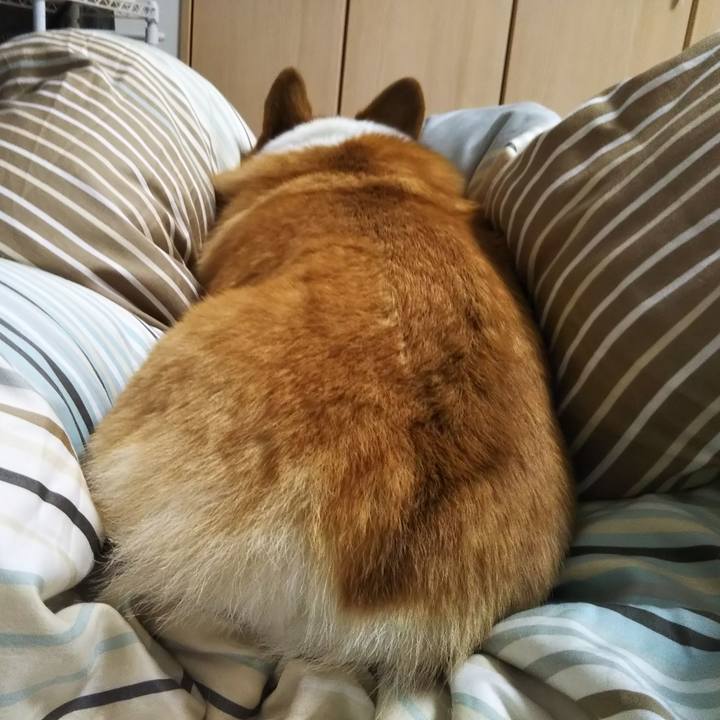 718108f3 1781 46cd 9849 220163d34872 1541846601597