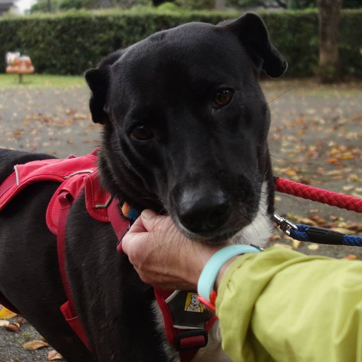 71815b46 32cd 427a 9315 6d4536105daa 1603324438974