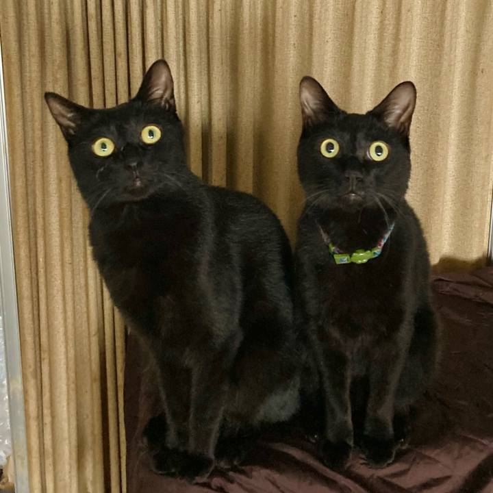 71817522 f365 4709 89d5 52e833f6f769 1655696554663