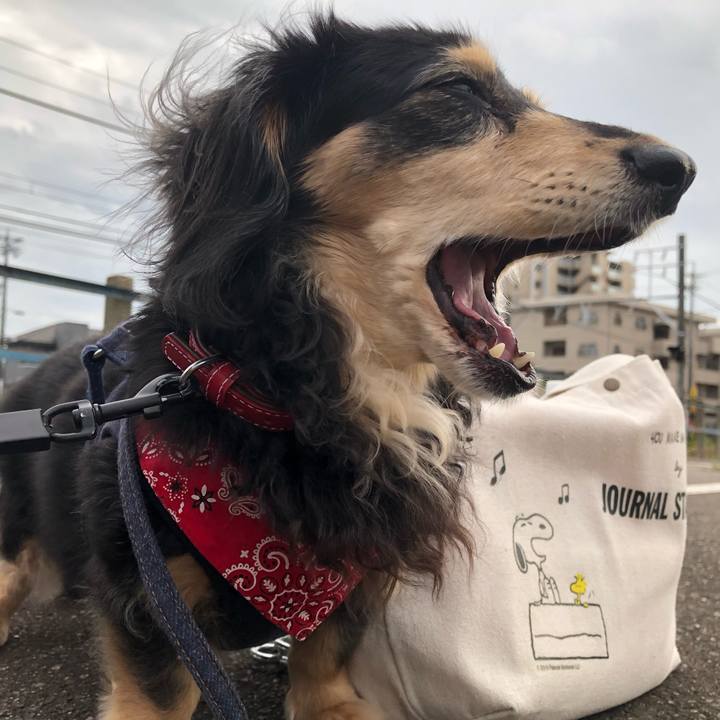 7181d3f5 04d8 4c25 8210 f8b9ba01433f 1629798376483