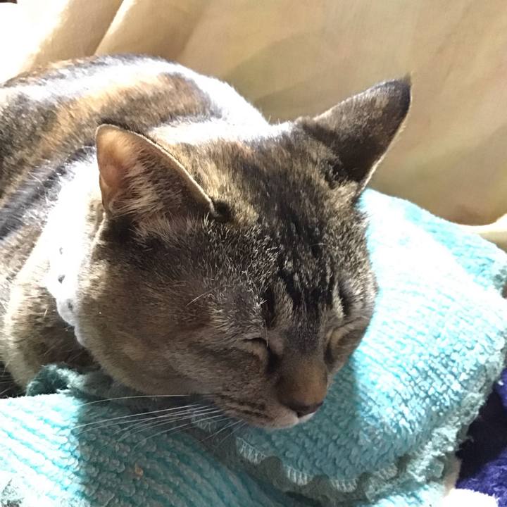 7181fbc3 1e05 44fd 9c73 dd95dc528b33 1739538809254