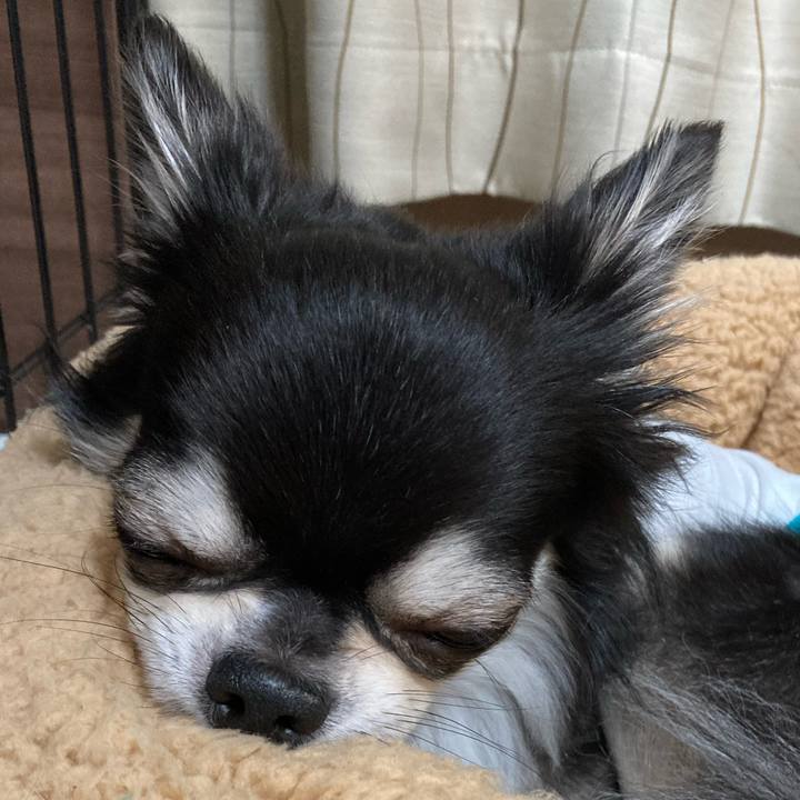 718206a6 0db0 4771 a2f3 c3483d2746e9 1654961143829