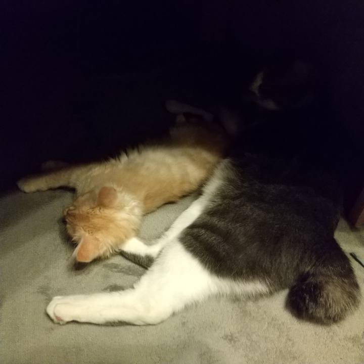 71820ed5 d68b 4a58 92a3 f7a7bd10ae23 1605446160730