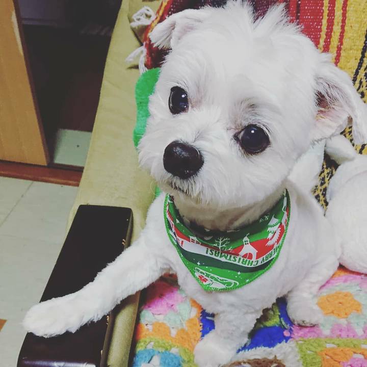 71825a27 c423 4bf6 aab5 4697ee1f351d 1575696401597