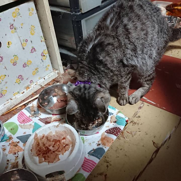 71825d39 5d72 4524 a868 6217cfc753ad 1591131164292