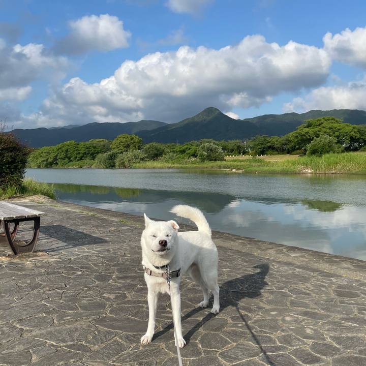 7182636e 4be4 4474 ae09 4e370be5cdc0 1748643766494