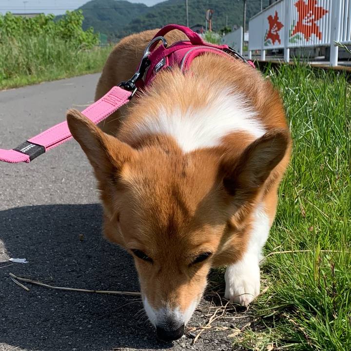 71826f6a 3138 4cf2 ab13 1921c8000bed 1685582996380