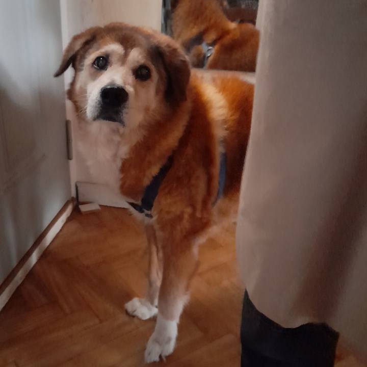 71827af1 550c 4eff a270 0867c9d3a65d 1756845300693