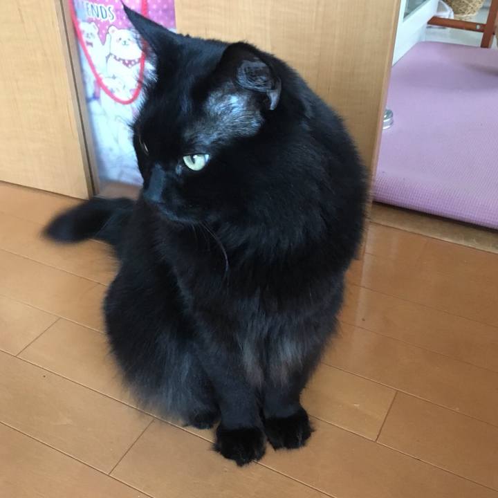 71828589 c574 4035 a1b6 b2ea3501aa38 1527901070205