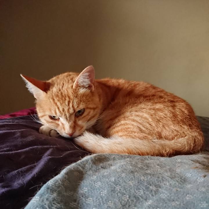 71829c70 21c9 4afc 920f 6d16909f7c5c 1592517174207