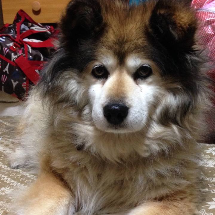 7182d78a 94b0 47fa b28a 8b333310c58f 1609547033610