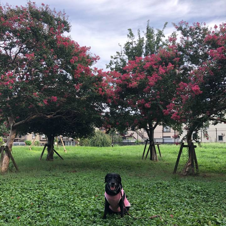 7182dc17 686e 4307 bc19 1131efc26388 1567063342401