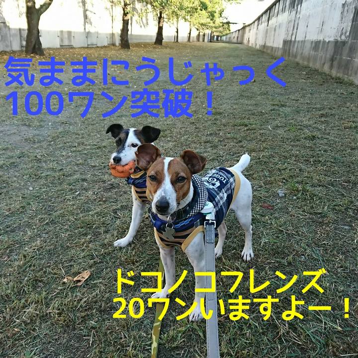 71831cb2 4725 4bcf 8200 94151bdab1f5 1534716760506