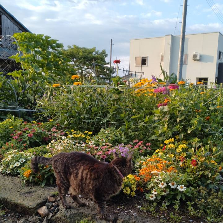 718330be dba9 4f86 8c35 be8c12378481 1720046311496