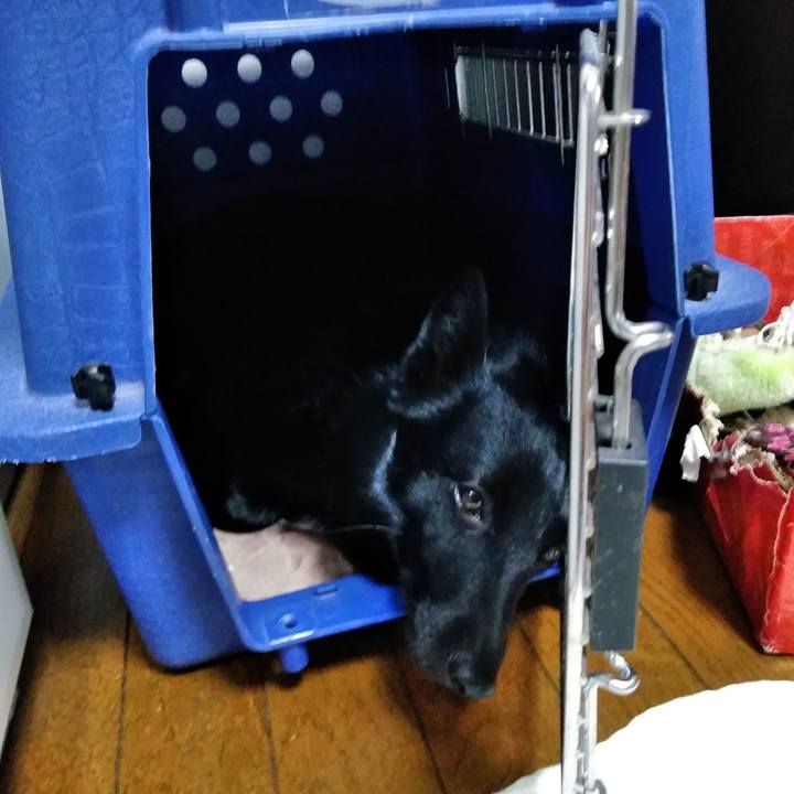 718374b6 785d 4bde b19b 76dcff605652 1558600989911