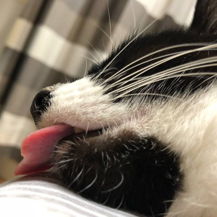 7183da40 a99e 4832 9073 3151b3f0f9ca 1535057542051