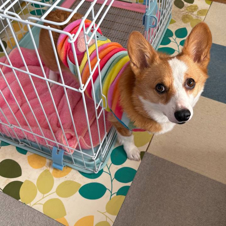 718403a4 1b63 4c52 8b2b 752b8c07d423 1773019607431