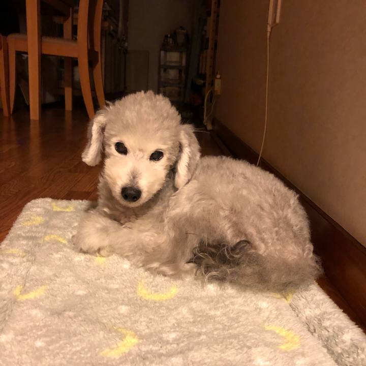 71843843 48b7 406d 8b50 d7893b79a73b 1576665883175