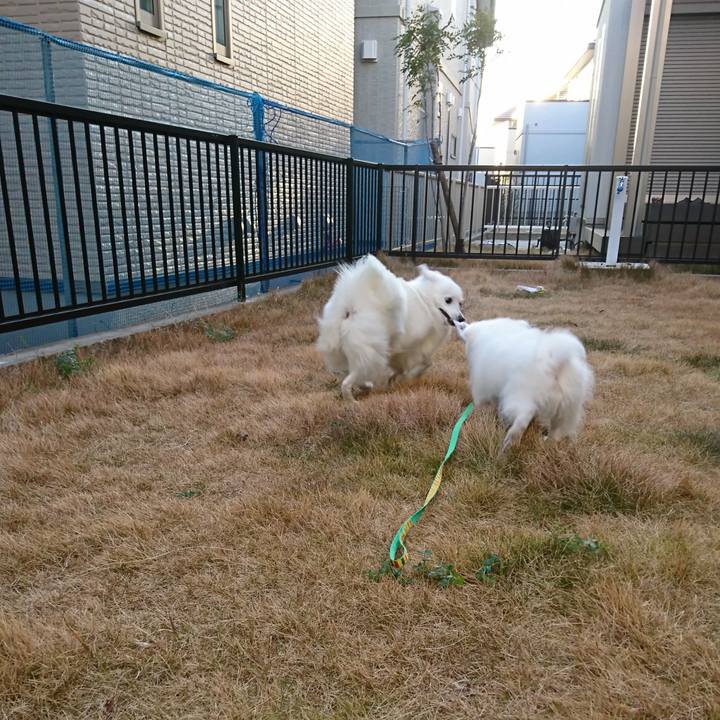 718446fd 47bd 40db bd3b 8646755ac186 1548833592164