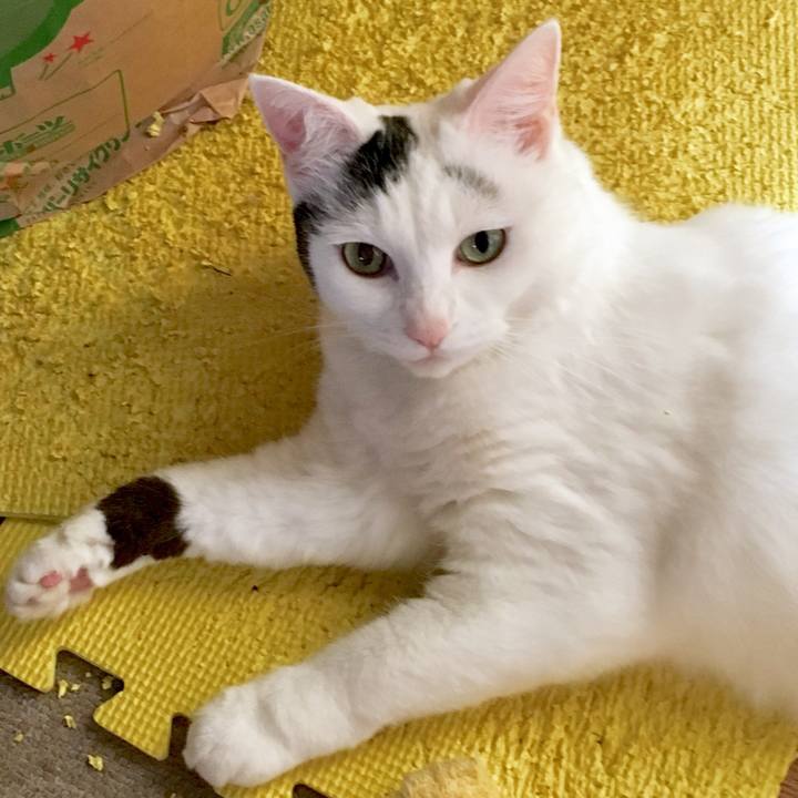 718470ac 818a 4fac b0b3 230548fbe978 1569567701262