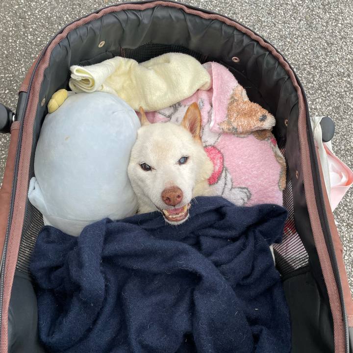 718475a9 9a93 47c3 a06d 0a2aa4a3f5ee 1679566979441