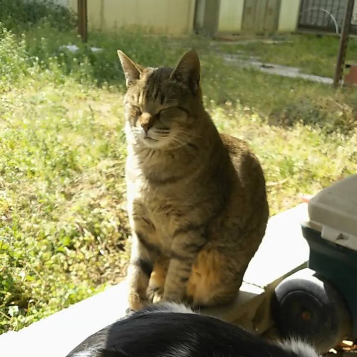 718480a7 8d5c 4683 9e69 07b234de1c66 1553403858958