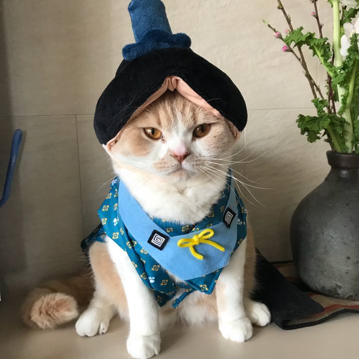 71849d17 41e9 40e8 ad4c b799301d5f87 1520050135931