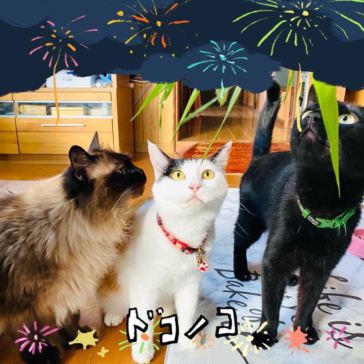 7184e394 2459 44cf 8f27 e2ac94de48b5 1723330447866