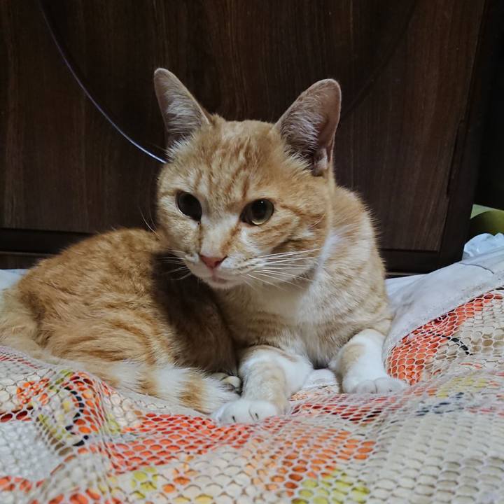 7184eab8 1403 4543 982b 711e749496f8 1586949388982