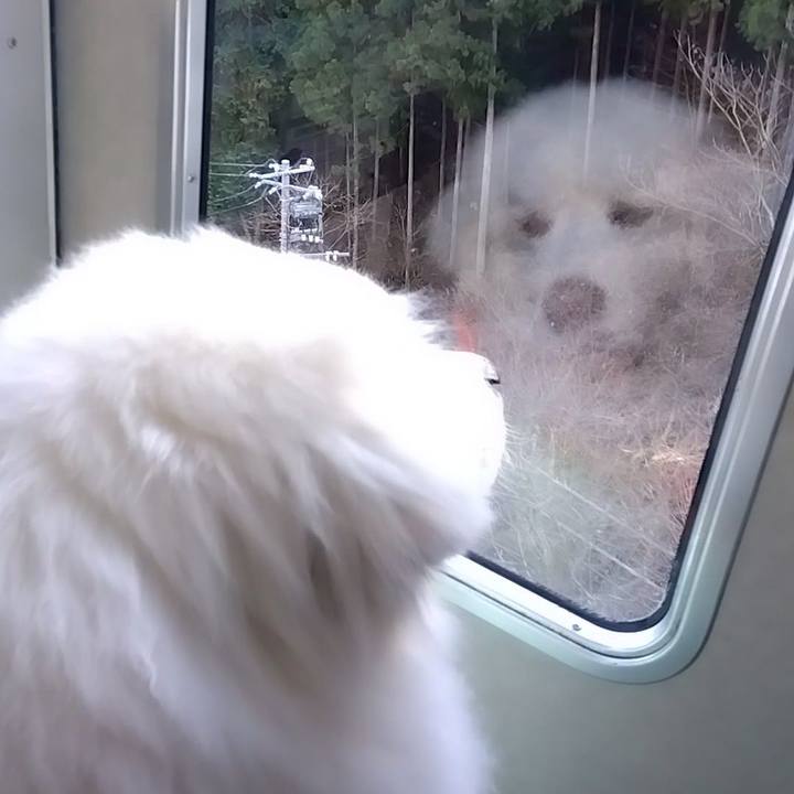 71854194 99f5 41fd b22b 9e9816227d53 1674305566953