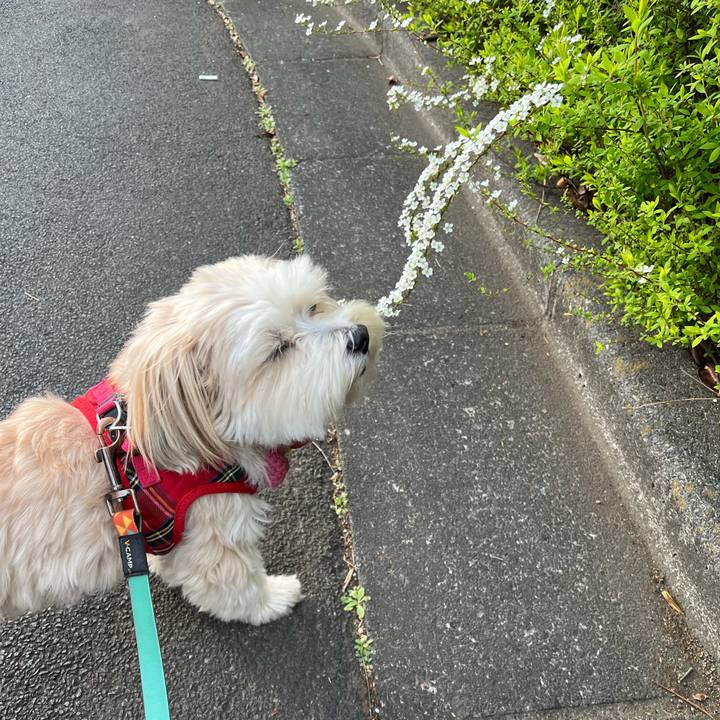 718570ed 5e19 4453 ba53 b0e322370619 1774164323744