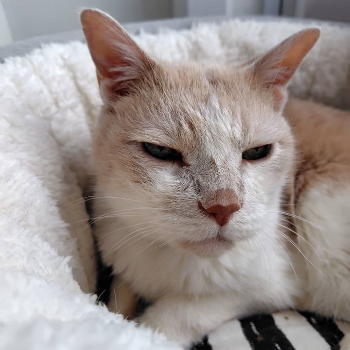 718586c0 b65c 448f 8ad5 dff8de85ceab 1719626037794