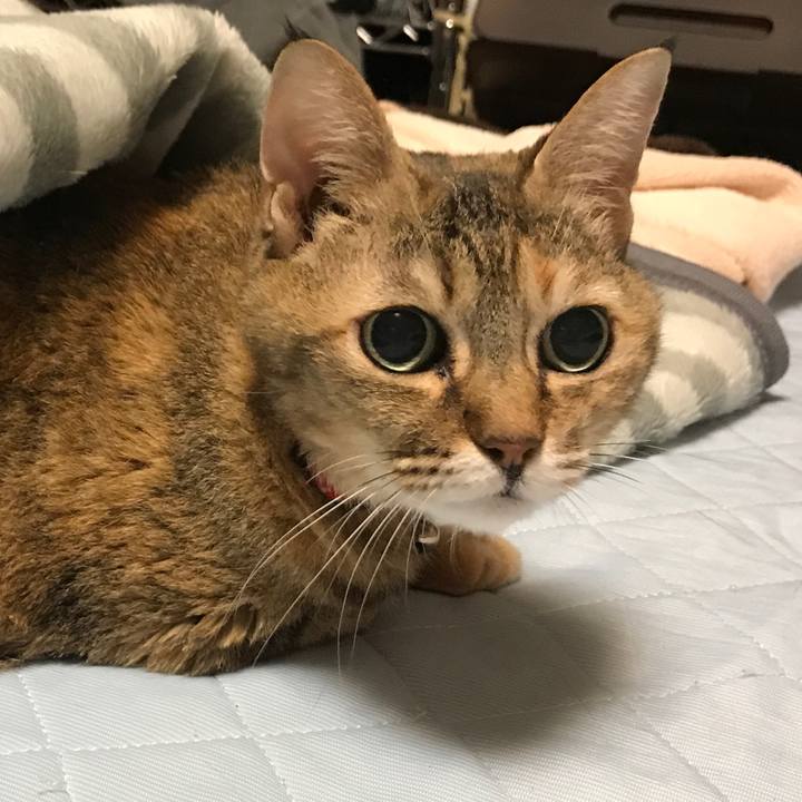 7185b13d 7044 4811 89f9 1cbc7bf1bce5 1508193949124