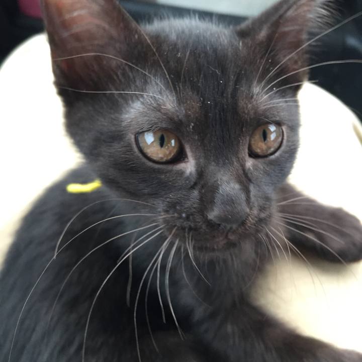 7185c51f e97a 419d 9d07 d6f7f5cfc447 1559549786597